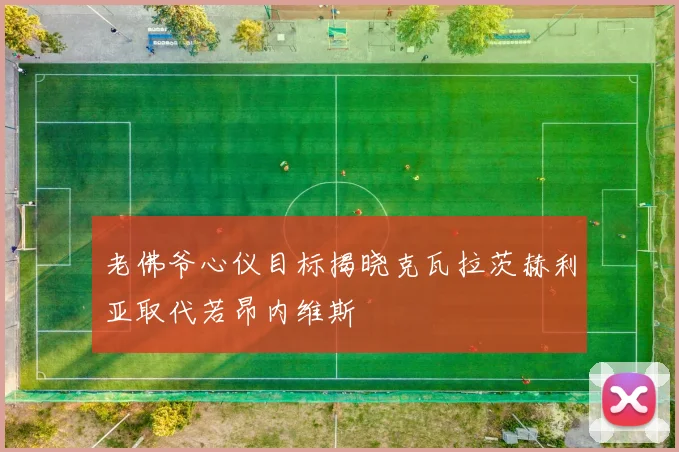 老佛爷心仪目标揭晓克瓦拉茨赫利亚取代若昂内维斯